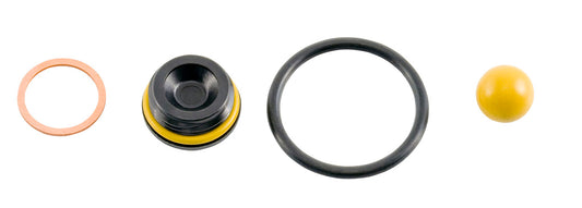 Primer Pump Seal Kit | AP0038