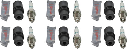 Gas Plug KIT (6 pack) includes GK3-8#4 | 674-2008