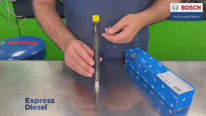 Genuine Delphi 28317158 fuel injector product video